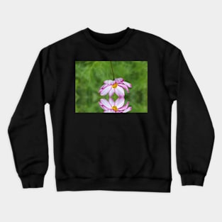 Reflect on your present blessings... Crewneck Sweatshirt